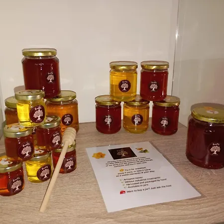 Couette-café Samele 4*