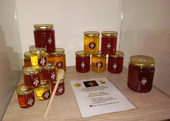 ベッド・アンド・ブレックファスト Samele 3*