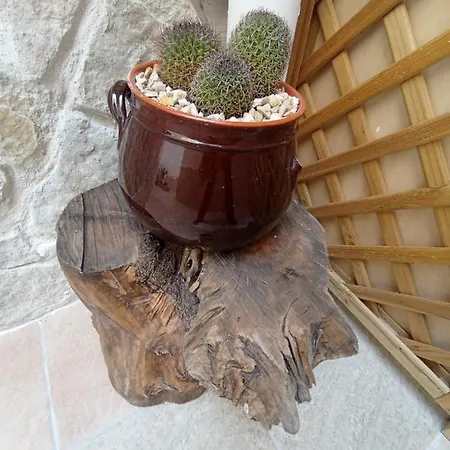 Samele Nocleg ze śniadaniem