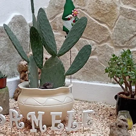 Samele فندق مبيت وإفطار