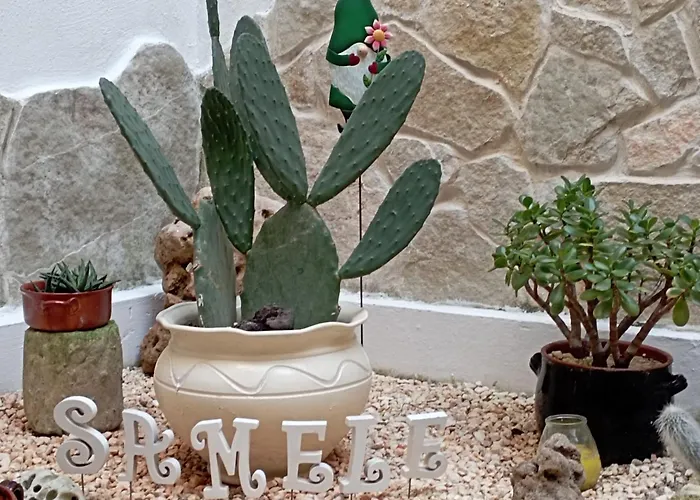 Samele Bed & Breakfast